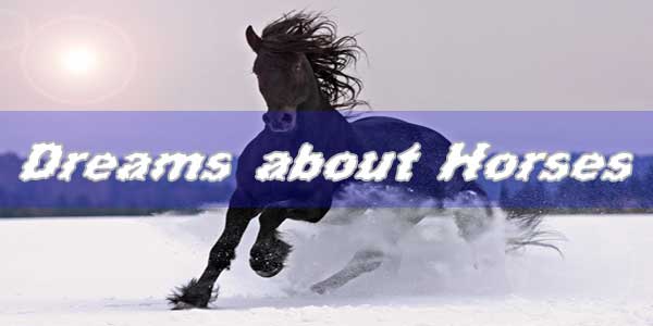 8 Dreams about Horses: What does a horse mean in dreams?