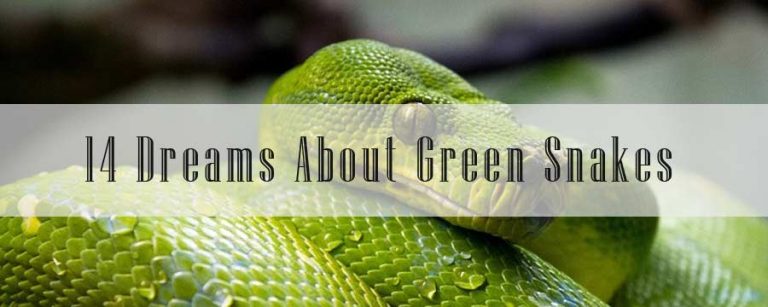 14 Dreams About Green Snakes: Meaning & Interpretation
