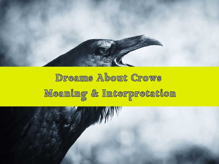 14 Dreams About Crows: Meaning & Interpretation