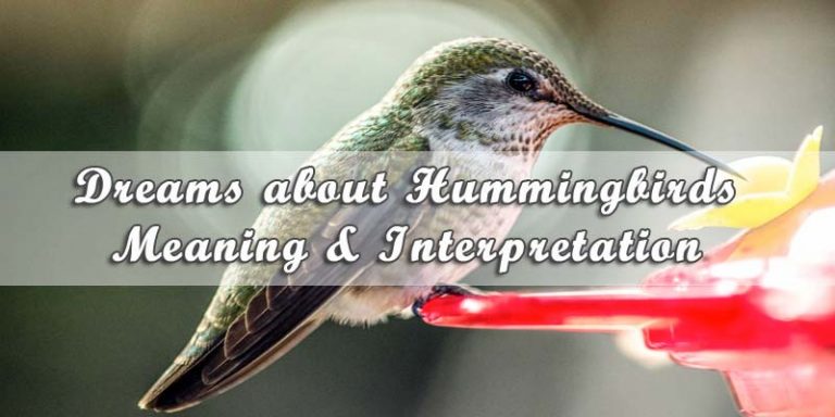 Dreams about Hummingbirds: Meaning & Interpretation