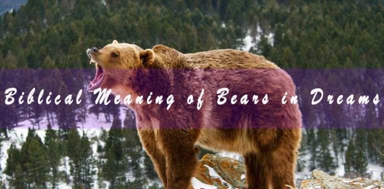 Biblical Meaning of Bears in Dreams & Interpretation