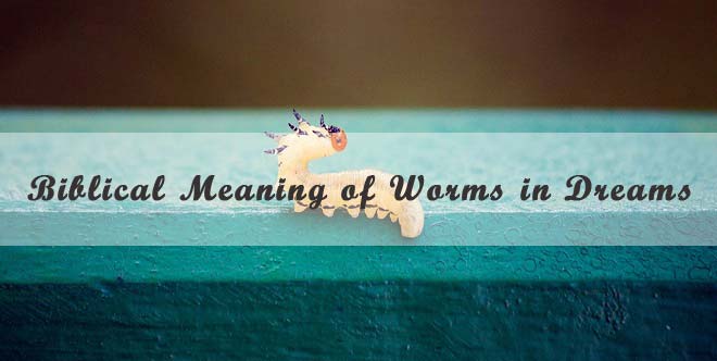 52-biblical-meaning-of-worms-in-dreams-interpretation