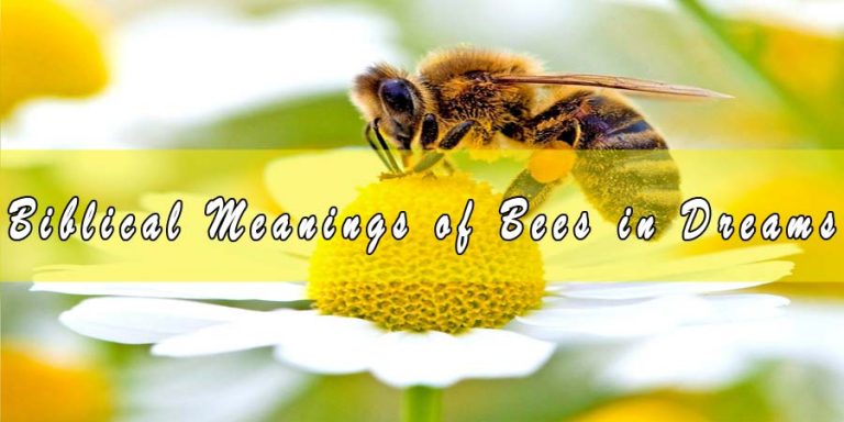 Biblical Meanings of Bees in Dreams & Interpretation