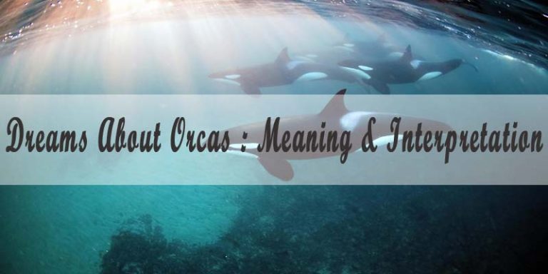 Dreams About Orcas : Meaning & Interpretation
