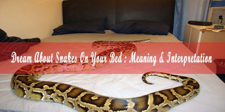 Dream About Snakes On Your Bed : Meaning & Interpretation