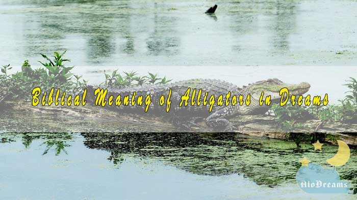 #10 Biblical Meaning of Alligators in Dreams & Interpretation