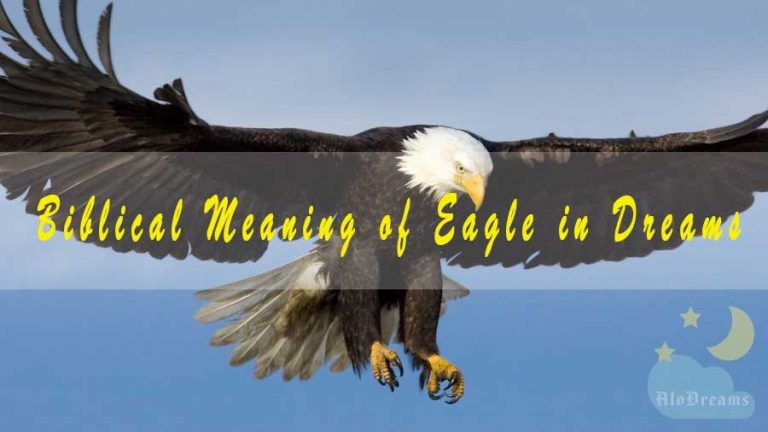 Biblical Meaning of Eagle in Dreams & Interpretation