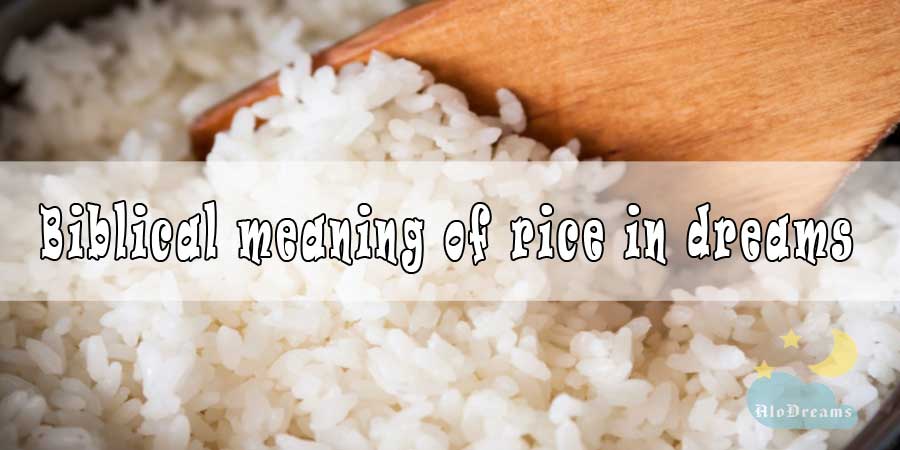 15-biblical-meaning-of-rice-in-dreams-interpretation