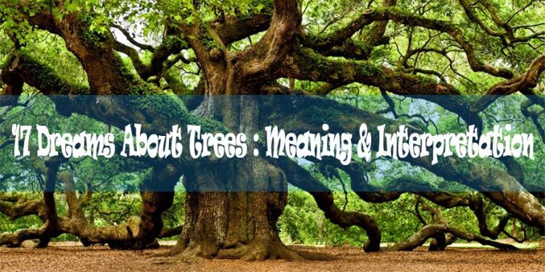 17 Dreams About Trees : Meaning & Interpretation