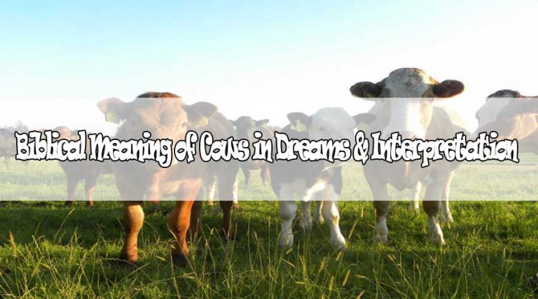 Biblical Meaning of Cows in Dreams & Interpretation