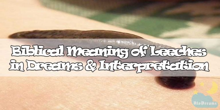 #8 Biblical Meaning of Leeches in Dreams & Interpretation