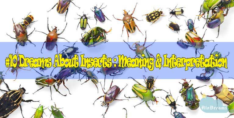 10 Dreams About Insects : Meaning & Interpretation