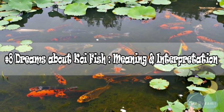 #8 Dreams about Koi Fish : Meaning & Interpretation