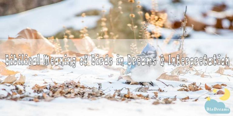 #52 Bibilical Meaning of Birds in Dreams & Interpretation