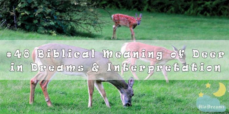 #48 Biblical Meaning of Deer in Dreams & Interpretation