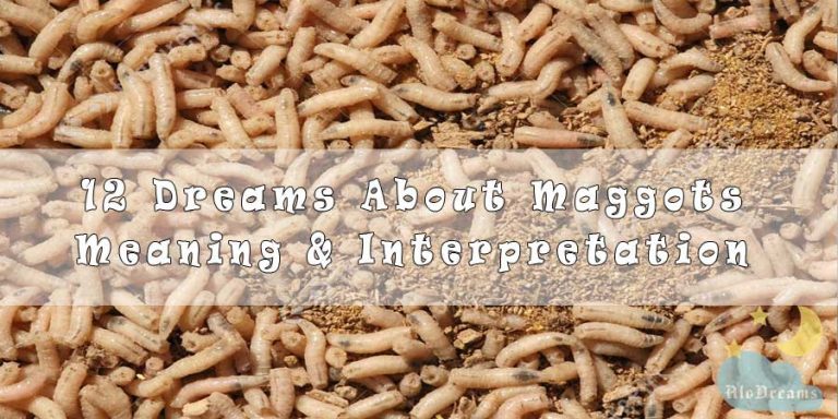 12 Dreams About Maggots : Meaning & Interpretation