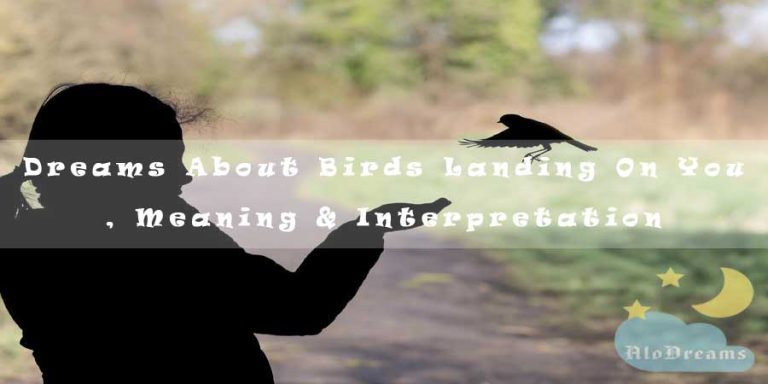 Dreams About Birds Landing On You , Meaning & Interpretation