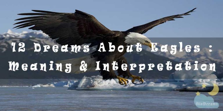 12 Dreams About Eagles : Meaning & Interpretation