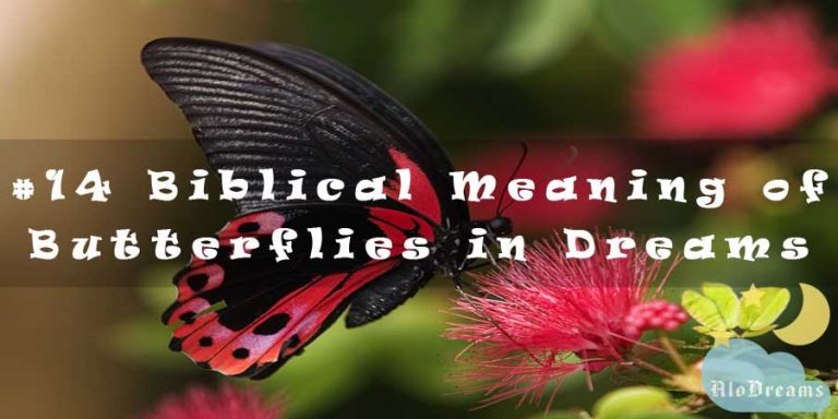 Biblical Meaning of Butterflies in Dreams