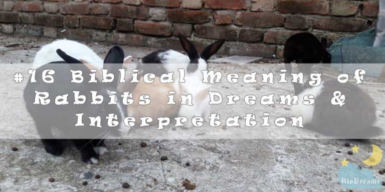 #16 Biblical Meaning of Rabbits in Dreams & Interpretation
