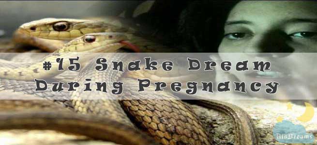 15-snake-dream-during-pregnancy-dreaming-of-snakes-while-pregnant