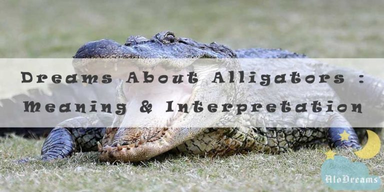 16 Dreams About Alligators : Meaning & Interpretation