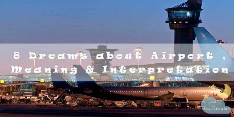 8 Dreams about Airport , Meaning & Interpretation