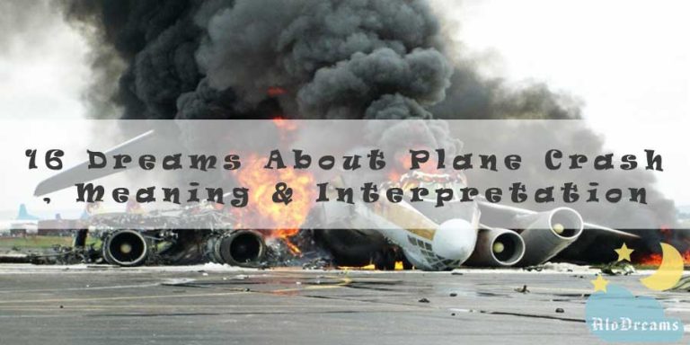 16 Dreams About Plane Crash , Meaning & Interpretation