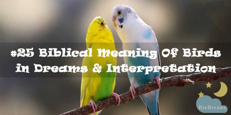#25 Biblical Meaning Of Birds in Dreams & Interpretation