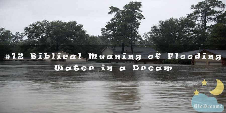 12-biblical-meaning-of-flooding-water-in-a-dream-interpretation