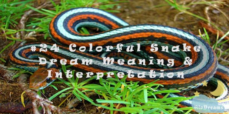 #24 Colorful Snake Dream Meaning & Interpretation