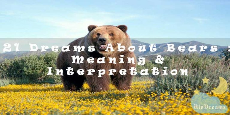 21 Dreams About Bears : Meaning & Interpretation