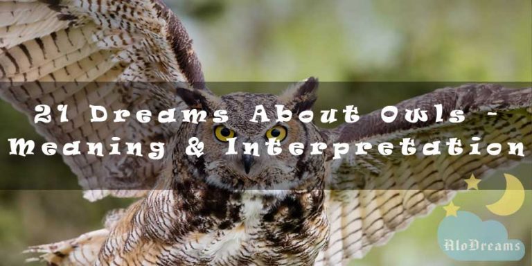 21 Dreams About Owls - Meaning & Interpretation
