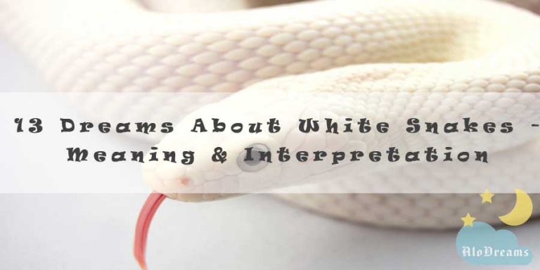 13 Dreams About White Snakes - Meaning & Interpretation