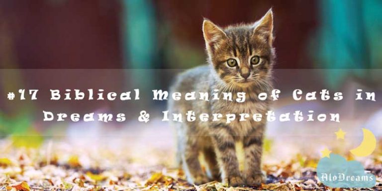 #17 Biblical Meaning of Cats in Dreams & Interpretation
