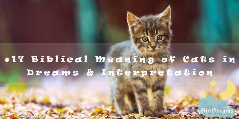 17 Biblical Meaning of Cats in Dreams & Interpretation