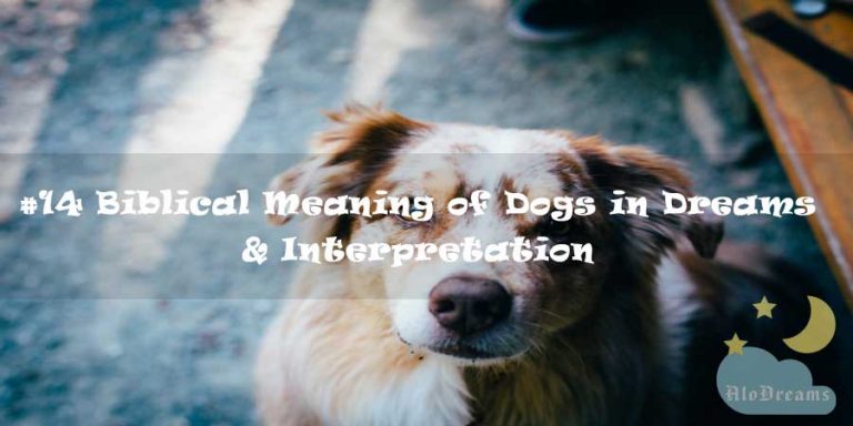 #14 Biblical Meaning of Dogs in Dreams & Interpretation