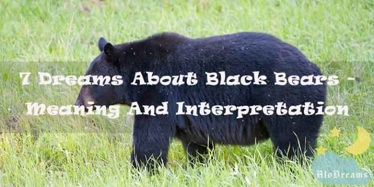 7 Dreams About Black Bears - Meaning & Interpretation