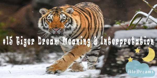 15-tiger-dream-meaning-interpretation