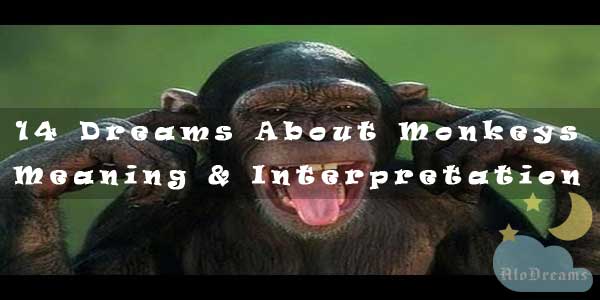 14 Dreams About Monkeys - Meaning And Interpretation