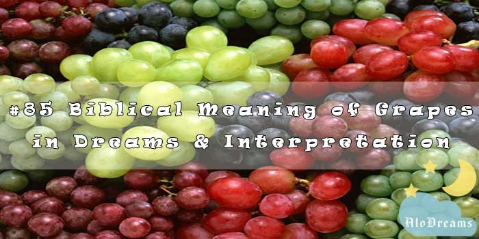 Biblical Meaning of Grapes in Dreams & Interpretation