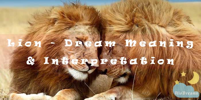 #48 Lion - Dream Meaning & Interpretation