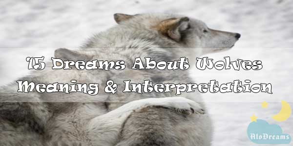 15 Dreams About Wolves : Meaning & Interpretation