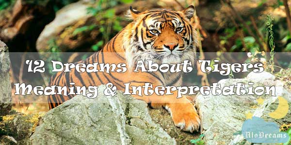 12 Dreams About Tigers : Meaning & Interpretation