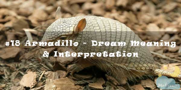 #18 Armadillo - Dream Meaning & Interpretation