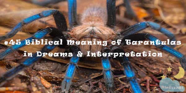 #45 Biblical Meaning of Tarantulas in Dreams & Interpretation