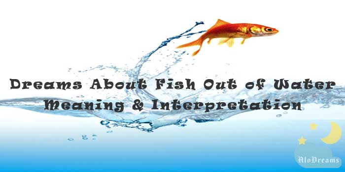 Idiom A Fish Out Of Water Meaning