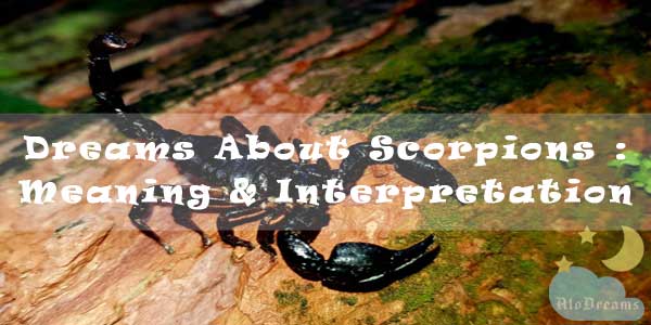 Dreams About Scorpions : Meaning & Interpretation