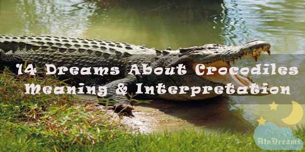 14 Dreams About Crocodiles - Meaning & Interpretation