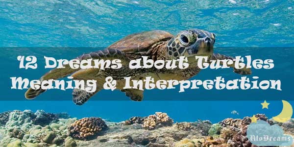 12-dreams-about-turtles-meaning-interpretation